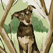 Lucas Ott - Youtube Profile Picture of Lucas Ott (@lucasott4075) on Youtube