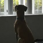 Profile Picture of Christopher Nicholson (@carrier.4) on Instagram