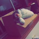 Profile Picture of Katelyn (@kstover44) on Instagram