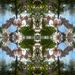 Profile Picture of Meg Simpson (@Megscaline) on Pinterest