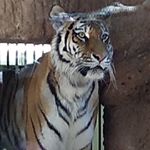 Profile Picture of mario adamec (@mario.adamec) on Instagram