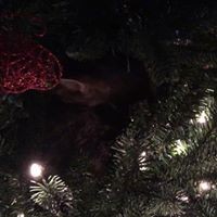 Profile Picture of Paige Tanner (@paige-tanner-3) on Quora