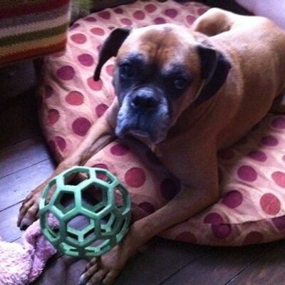 Profile Picture of Suzie Lowthers (@NBSuzie) on Twitter