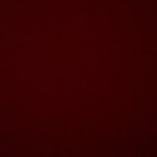Profile Picture of Ian Scheffler (@ianscheffler5994) on Youtube