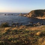 Profile Picture of Pablo Ignacio Navia (@patrickthetoylizard) on Instagram