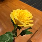 Profile Picture of Adam Alhayek (@adam.alhayek) on Instagram