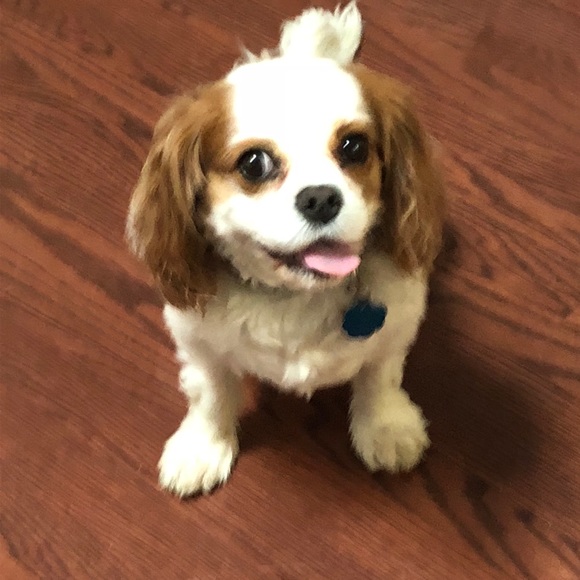 Profile Picture of Justin Bookheimer (@jtbookheimer) on Poshmark