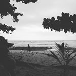 Profile Picture of Tom Charleson (@tom_charleson) on Instagram