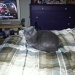 Profile Picture of Kathi Bryant Jennings (@jenningskathi) on Instagram