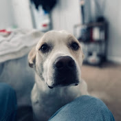 Aaron Velazquez - Youtube Profile Picture of Aaron Velazquez (@user-tc2bn4bh3f) on Youtube