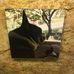 Profile Picture of George Vanderbilt (@george.vanderbilt.12) on Facebook