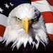 Profile Picture of Michael Hesson (@hesson0036) on Pinterest