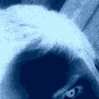 Abi Vizenzo - Facebook Profile Picture of Abi Vizenzo (@abi.vizenzo) on Facebook