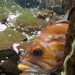 Profile Picture of Amber Blackman (@amber.blackman.031169) on Instagram