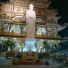 Profile Picture of Khoi Ha (@@khoiha5) on Tiktok