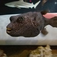 Profile Picture of Jared Etheridge (@jared-etheridge-2) on Quora