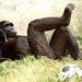 Profile Picture of Mark Lorah (@marklorah) on Pinterest