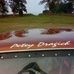 Profile Picture of Pete Dragich (@Pete-Dragich) on Facebook