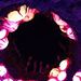 Profile Picture of Jacob Haller (@capturesbyjh) on Pinterest