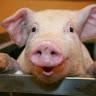 Profile Picture of matt mcgregor (@mattmcgregor4) on Tiktok