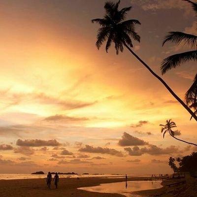 Profile Picture of Mike Snowdon (@partystarty1130) on Twitter