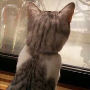 Profile Picture of Aya Nishihata (@ayanishihata3848) on Youtube