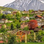 Haila Ahmed - Instagram Profile Picture of Haila Ahmed (@helah144_) on Instagram