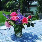 Profile Picture of Georgina Hovey Aka Doris (@g.hovey) on Instagram