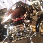 Taylor Bechel - Instagram Profile Picture of Taylor Bechel (@taylorbechel66) on Instagram