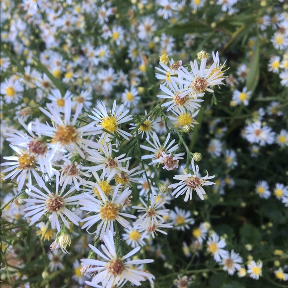 Profile Picture of J Zurn (@jkz330) on Poshmark