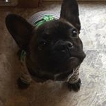 Profile Picture of Cathi Cook (@cathi.cook.90) on Instagram