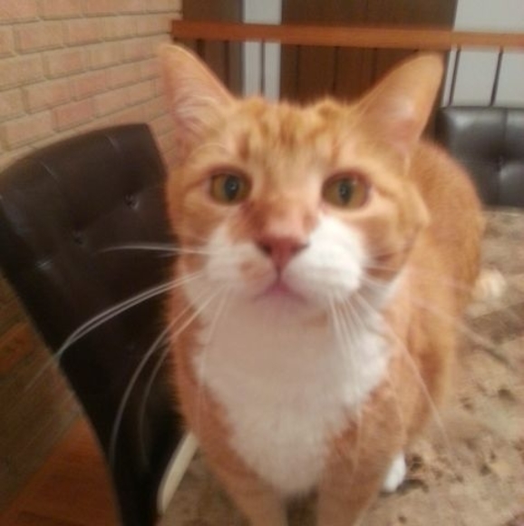 Profile Picture of Bridgette Yahne (@bridgetteyahne) on Poshmark