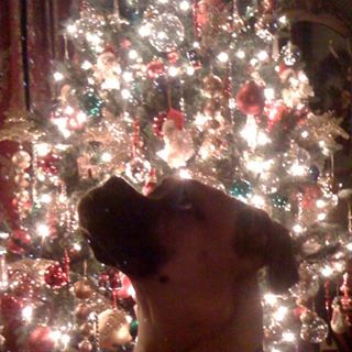 Profile Picture of Joyce Brammer (@joyce.brammer.71) on Facebook