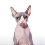 Profile Picture of Bonnie Thomas-Horsewood (@bonniethomashorsewood) on Instagram