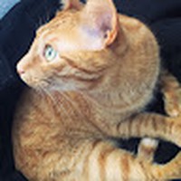 Profile Picture of Mandy Mckinnon (@mandy-mckinnon-6) on Quora