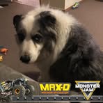 Profile Picture of Nick Errington (@nick.errington.31) on Facebook