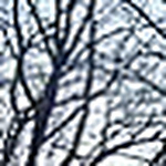 Profile Picture of robb panarella (@proof034) on Flickr