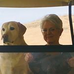 Jeannine Payne - Instagram Profile Picture of Jeannine Payne (@sparksbybobby2011) on Instagram