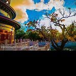 Profile Picture of sharrongregory (@sharrongregory) on Instagram