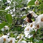 Profile Picture of Benjamin Doggett (@doggettbenjamin) on Instagram