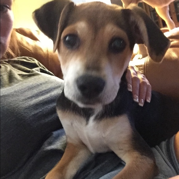 Profile Picture of Shannln Mckane (@slm32395) on Poshmark