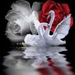 Profile Picture of Alexandra Reinhart (@reinhart.alexandra) on Instagram