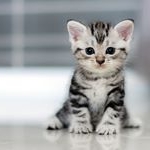 Profile Picture of BRIAN BLACKSHEAR (@stillamaznn62) on Instagram