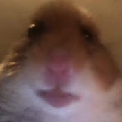 Profile Picture of Kevin Norberg (@kevinnorberg7264) on Youtube