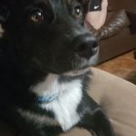 Profile Picture of Buddy McCray (@buddromccray18) on Instagram