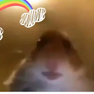 Profile Picture of fidget toy 123 (@feilesophie) on Tiktok