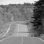 Profile Picture of phyllis (@carveylevin) on Instagram