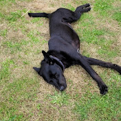 Profile Picture of Lucy Davey (@lucydavey1282) on Youtube