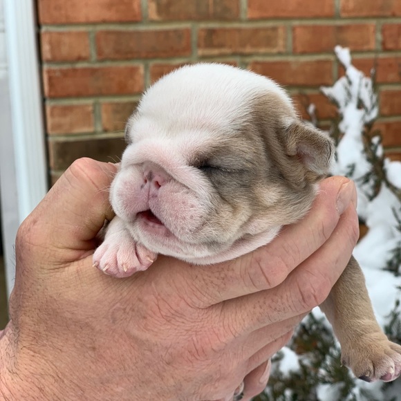 Profile Picture of Joan Larason (@nannyjcl) on Poshmark