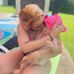 Profile Picture of Megan Sinclair (@megan.sinclair.1610) on Facebook